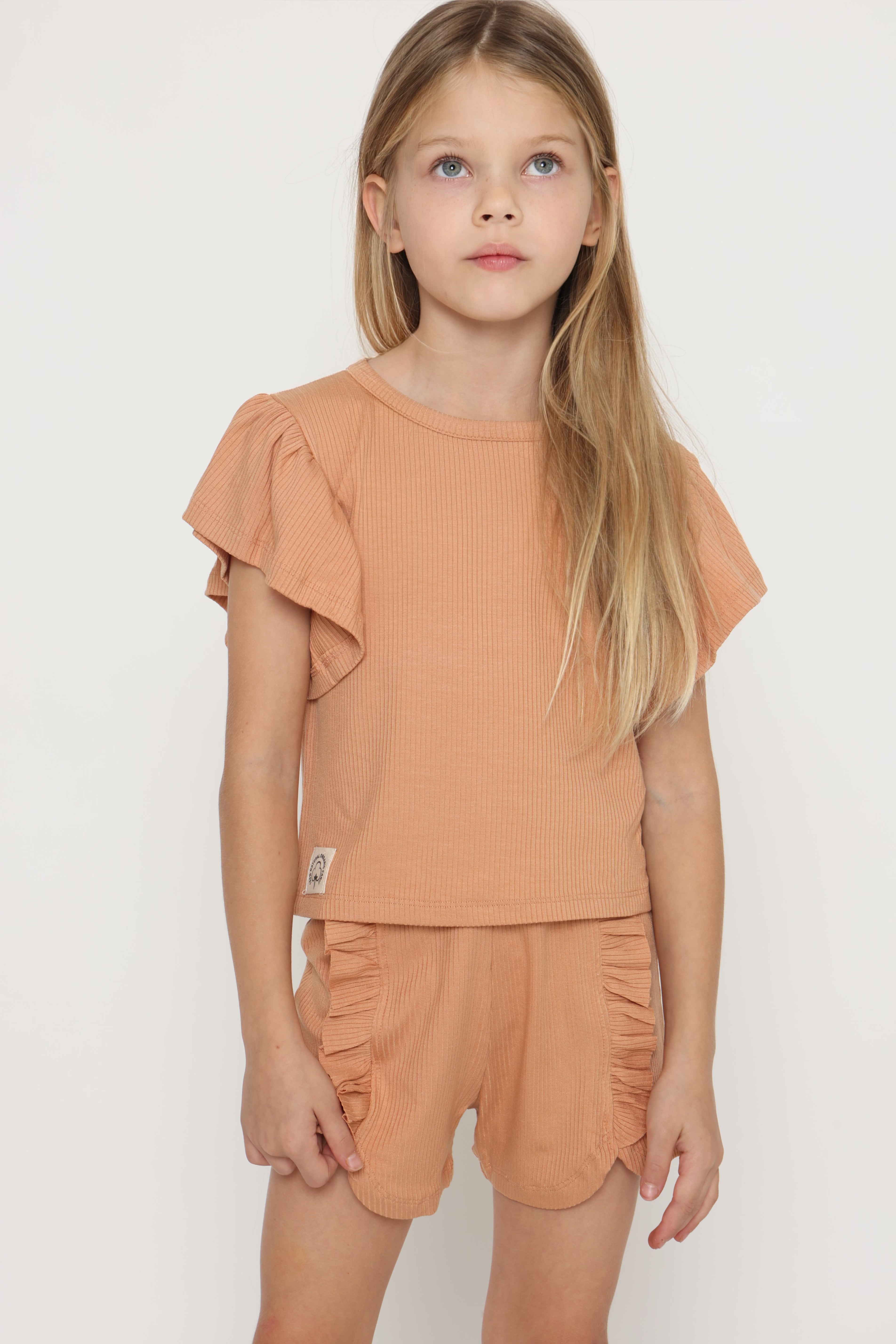 חליפת ריב מלמלה