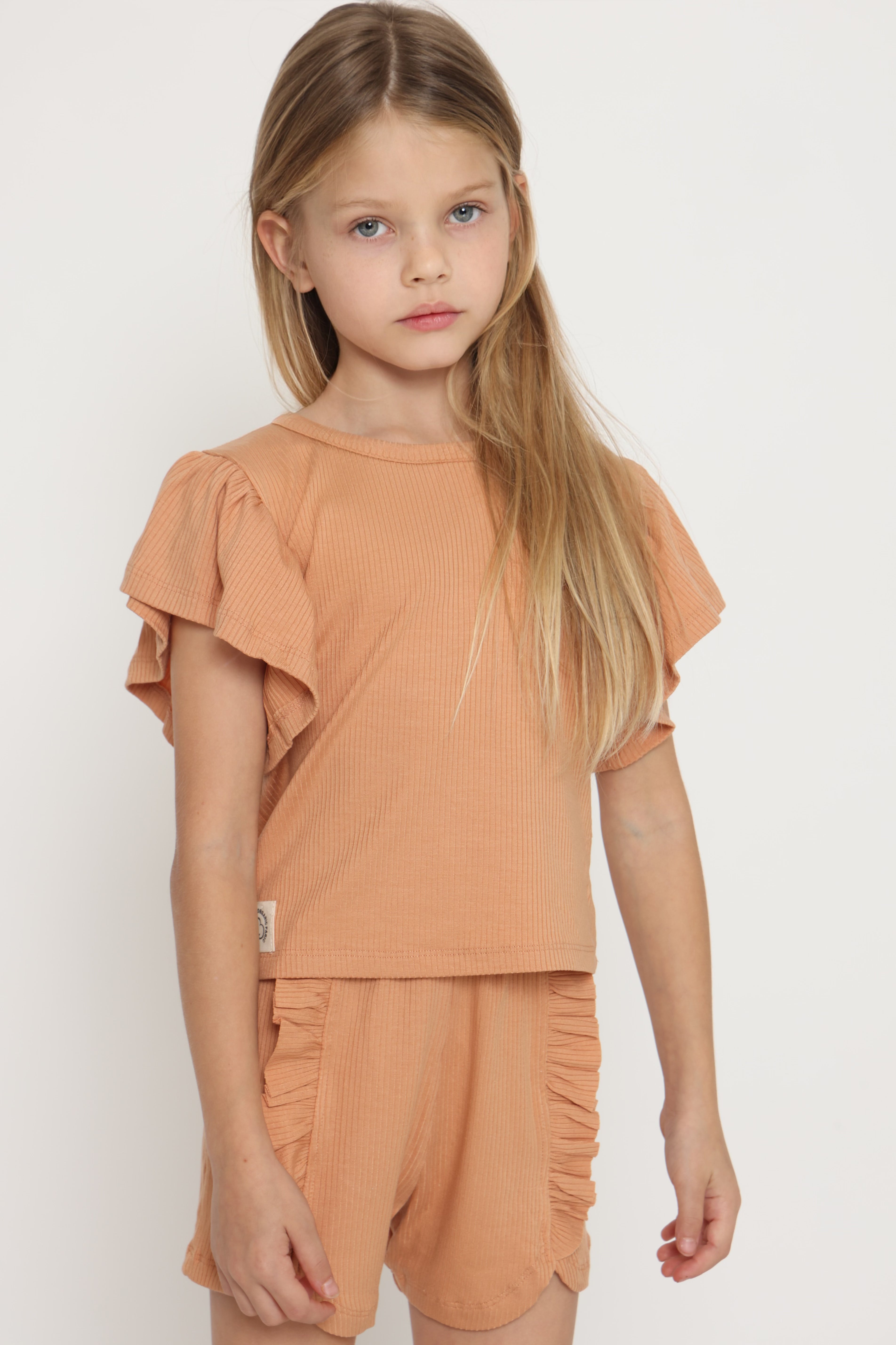 חליפת ריב מלמלה