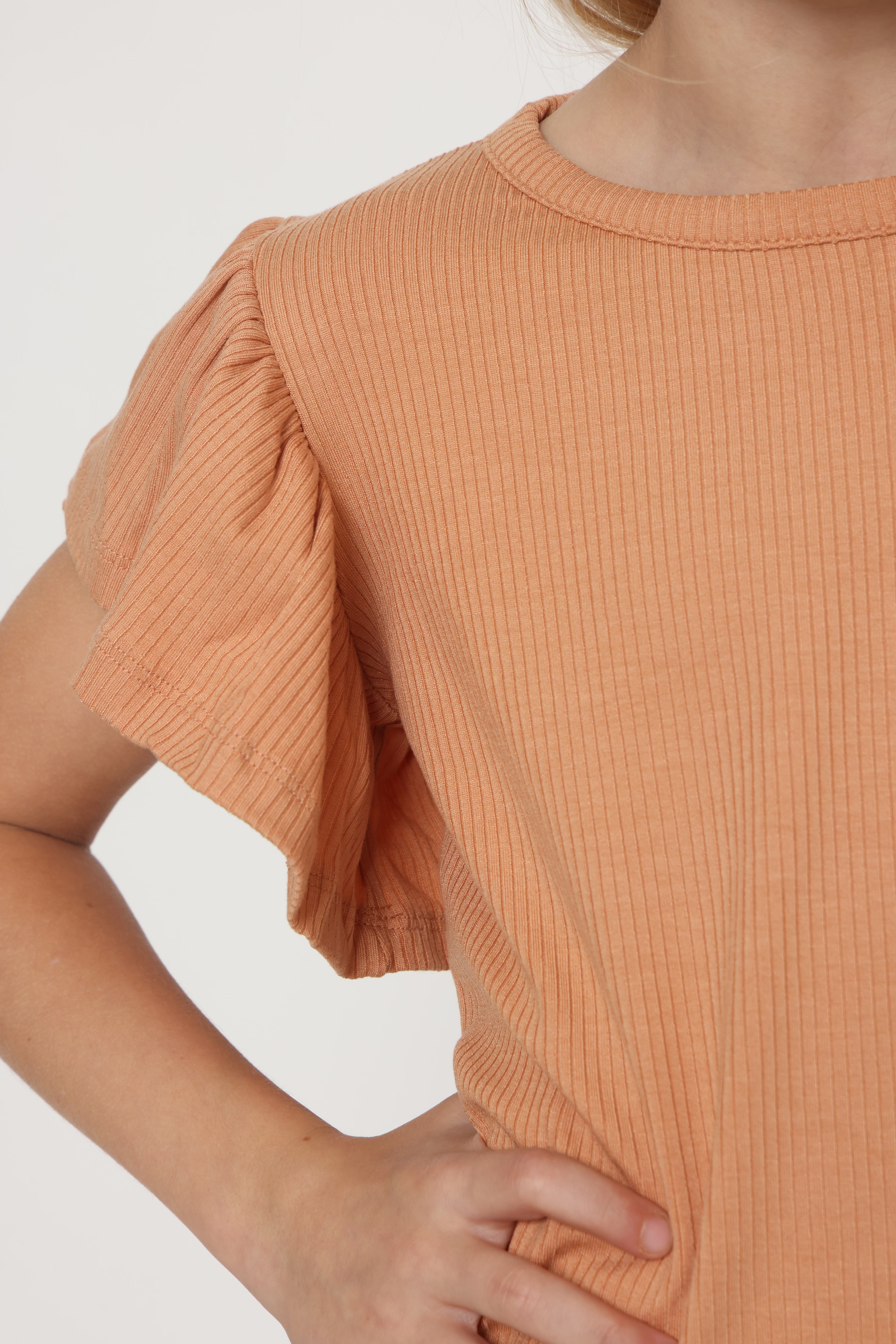 חליפת ריב מלמלה