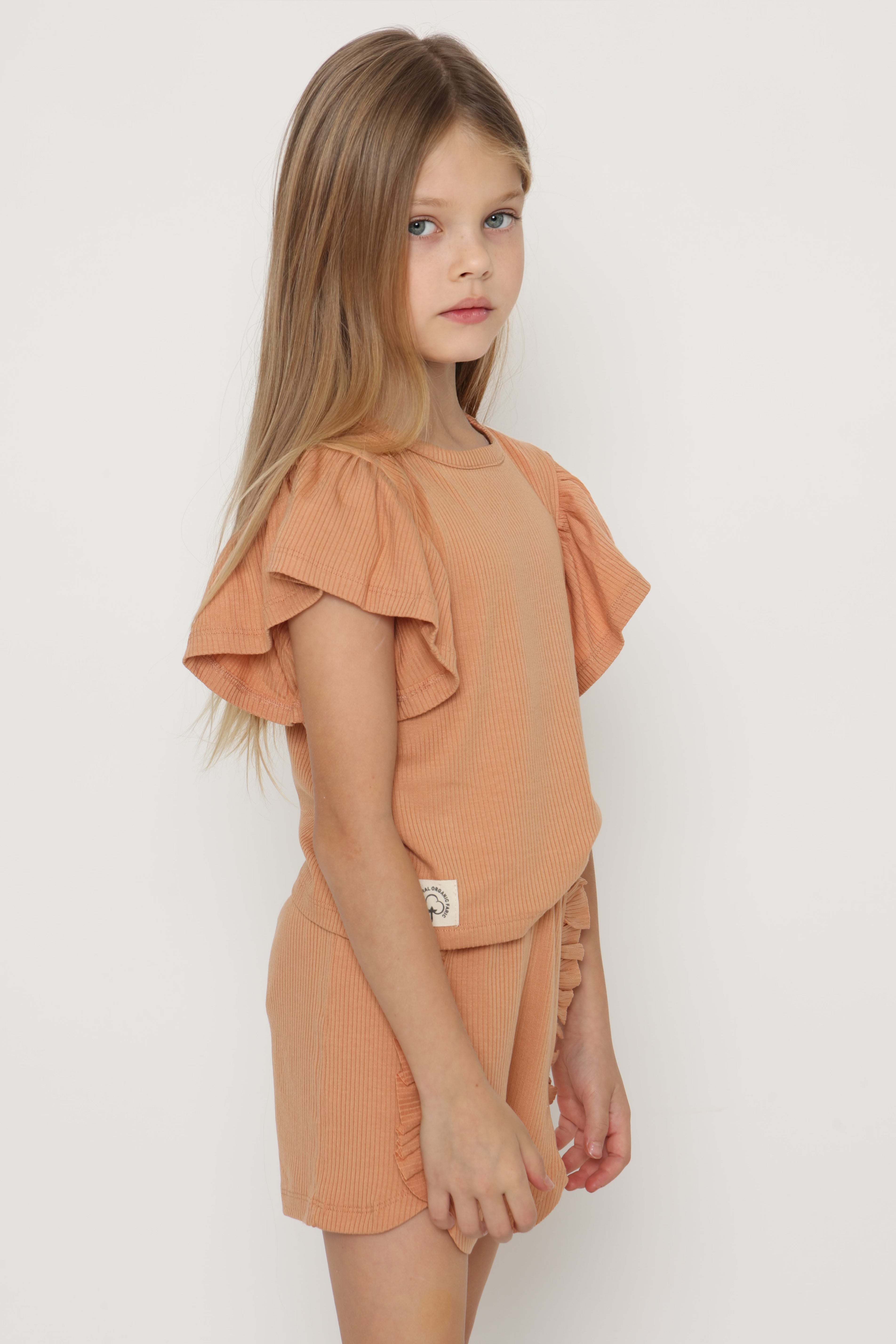 חליפת ריב מלמלה